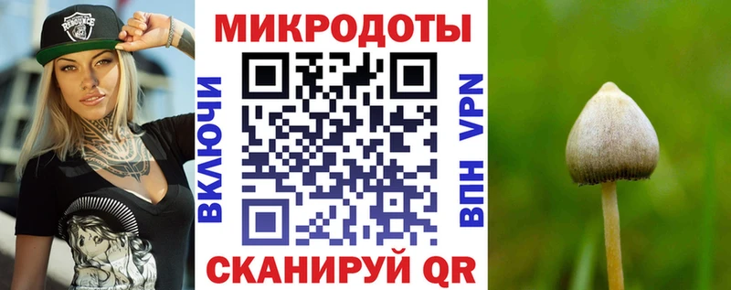 Купить закладки  Вилюйск  Псилоцибиновые грибы GOLDEN TEACHER 